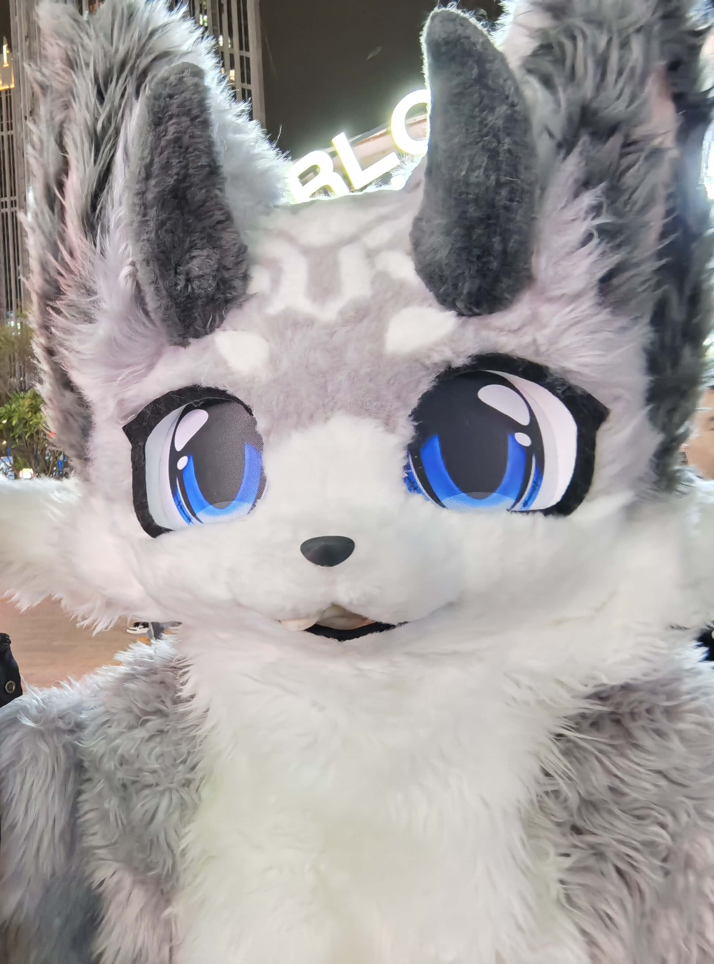 和一位Furry老师的合影,也是跨年夜唯一一张集邮🥲